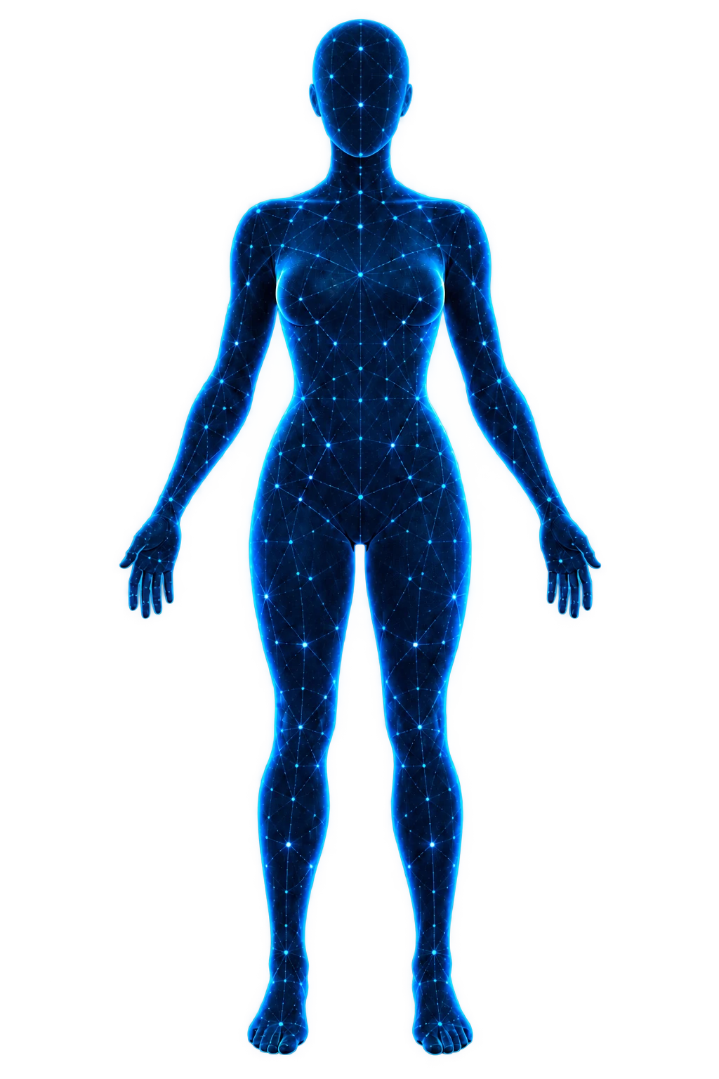 Stylised female wellness map