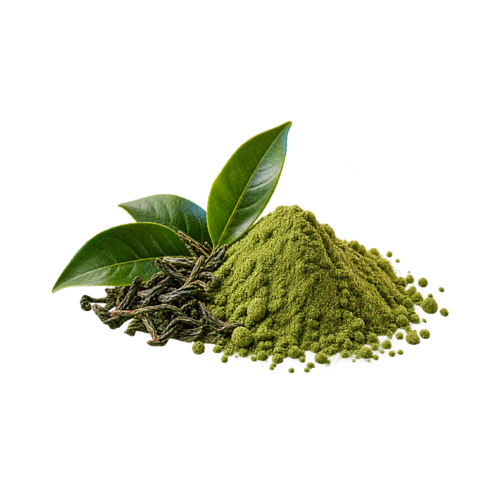 Green Tea Extract