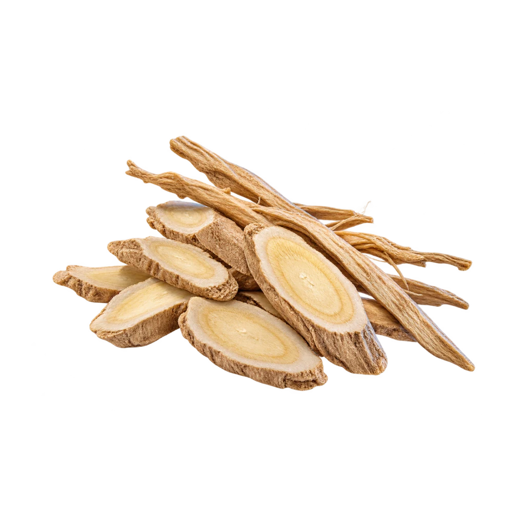 Astragalus Root